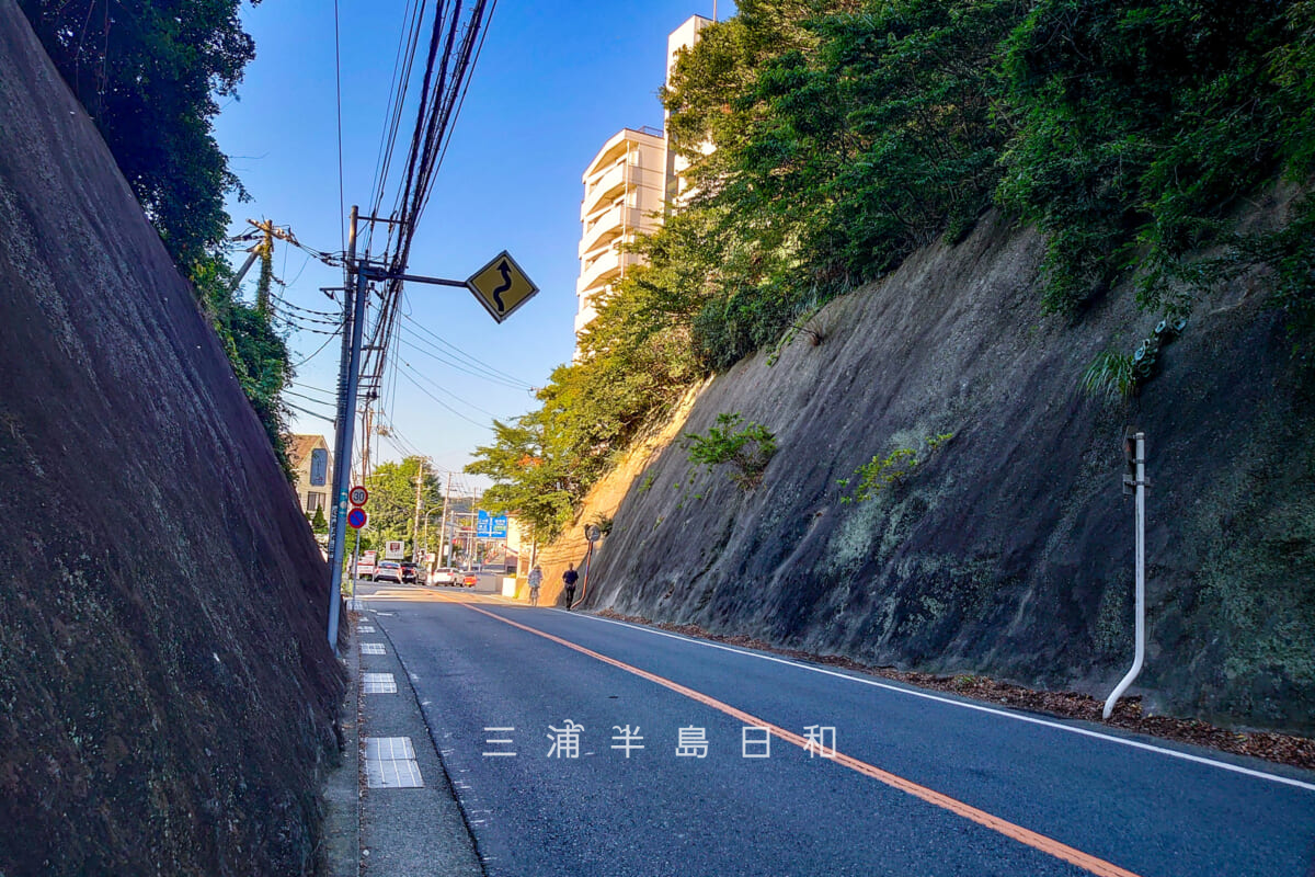 鐙摺の切通し・葉山側から望む(撮影日:2024.08.03)