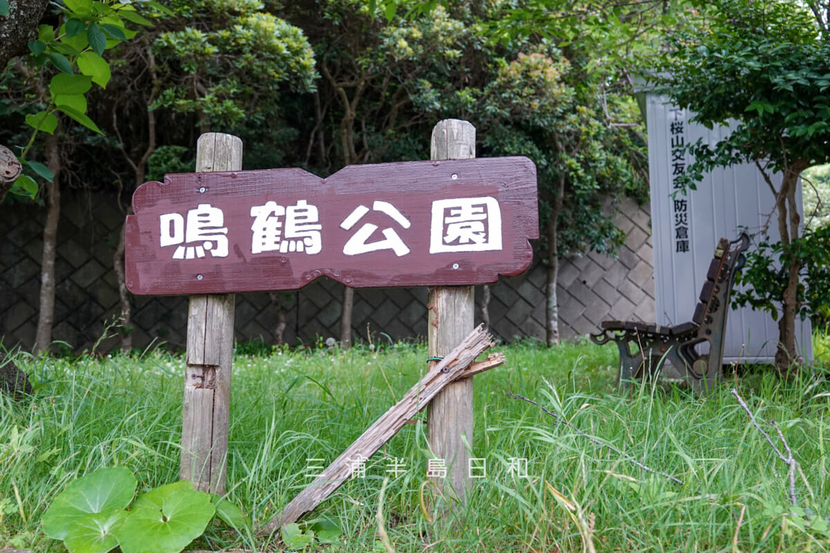 鳴鶴公園(アップ)(撮影日:2025.06.08)