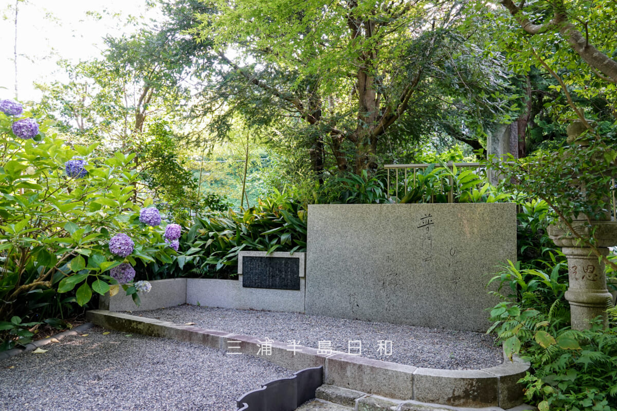 岩殿寺(岩殿観音)・泉鏡花の句碑とあじさい(撮影日:2025.06.27)