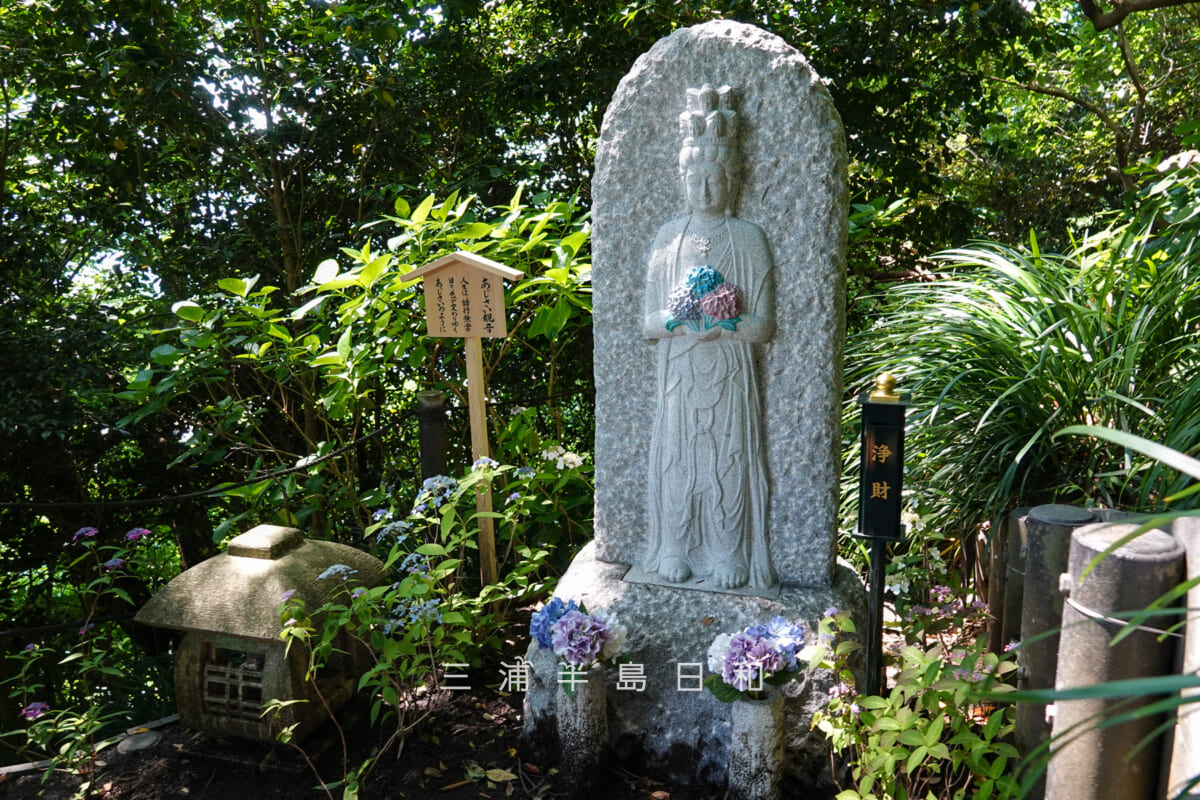 長谷寺・あじさい路頂上のあじさい観音(撮影日:2025.06.05)
