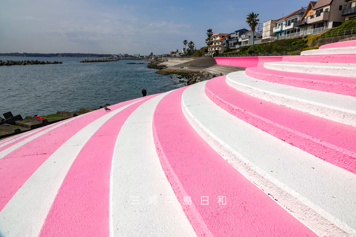 野比海岸（北下浦海岸）・#ジハングン ヨコスカによってピンク色に塗られた護岸（撮影日：2025.03.14）