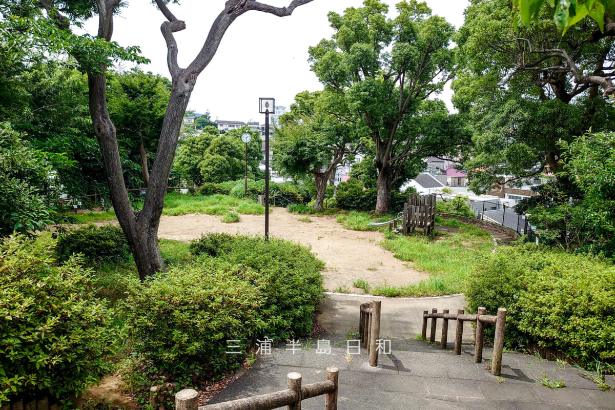 緒明山公園（読書公園）・公園中段の広場（撮影日：2023.06.30）