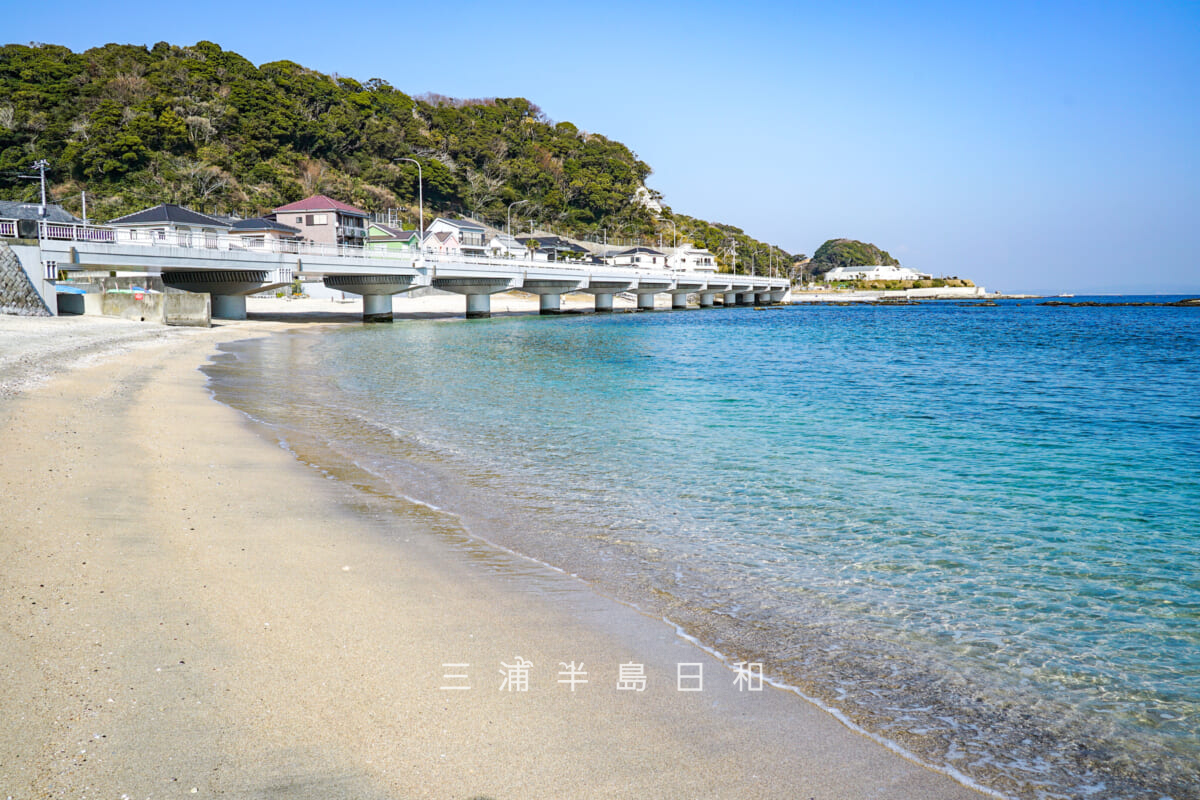 観音崎大橋のたもとの砂浜(撮影日:2025.01.24)