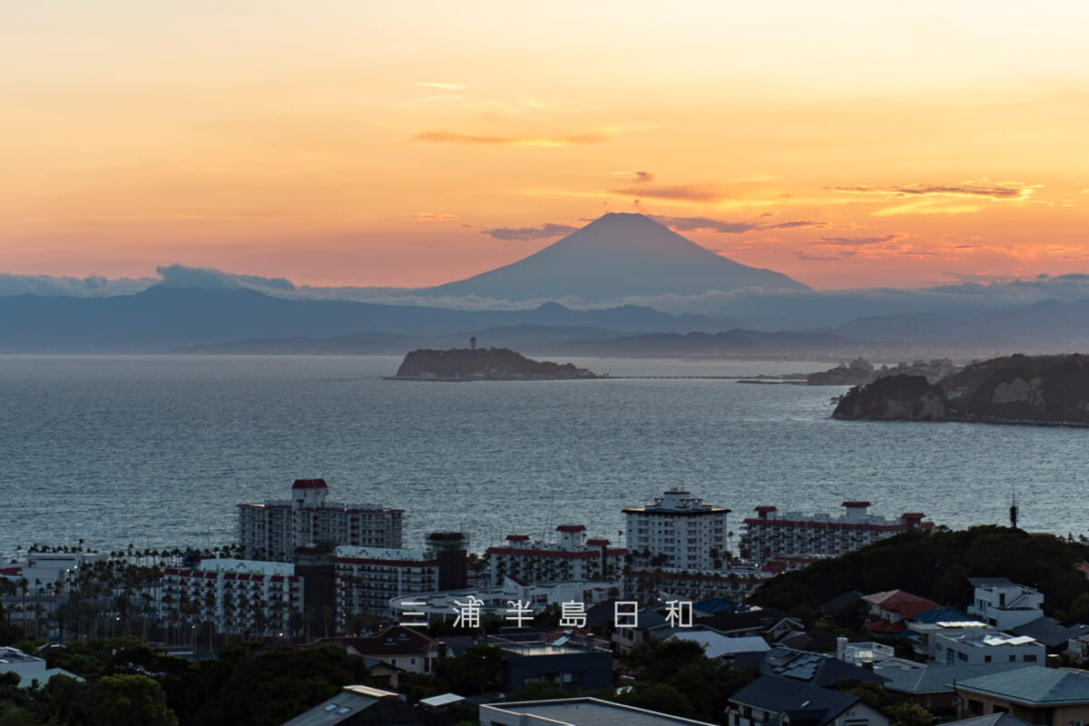 披露山公園の展望台下から見た夏の夕景と富士山（撮影日：2025.07.25）