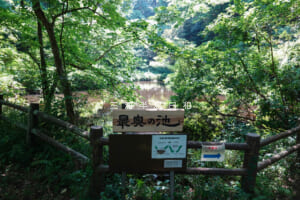 光の丘水辺公園