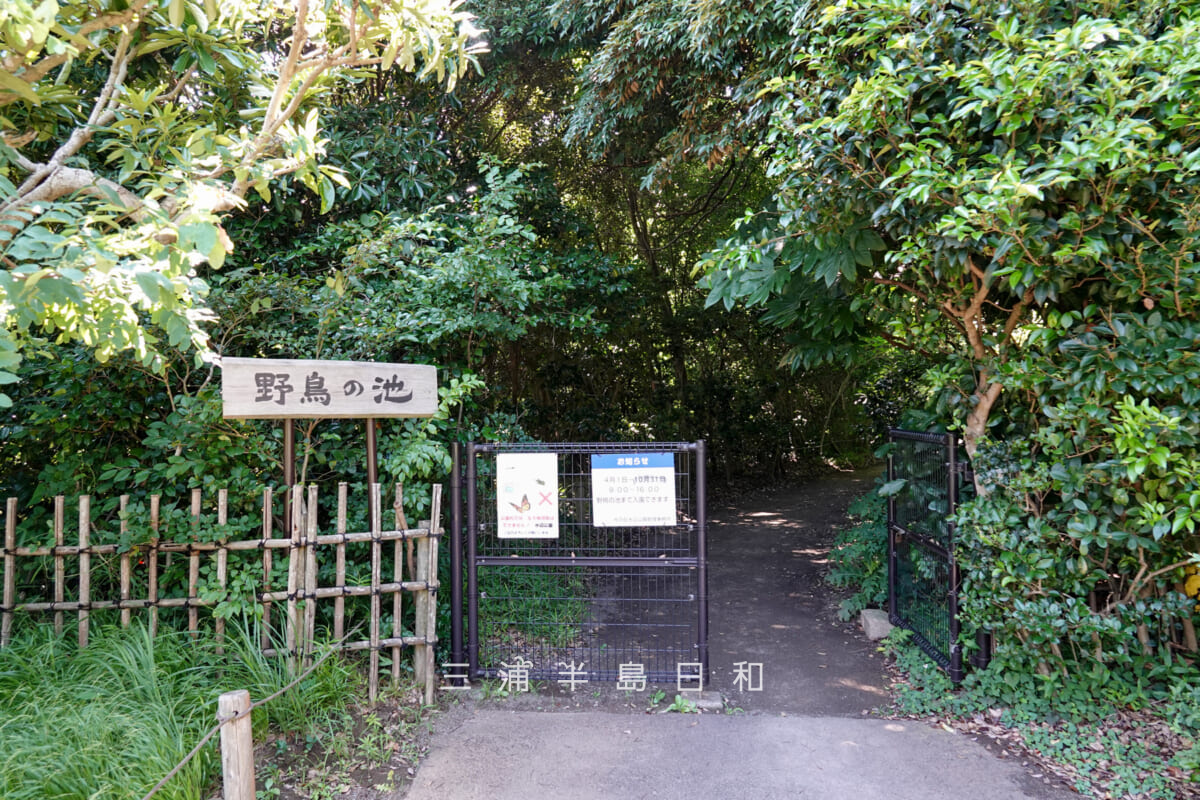 光の丘水辺公園・野鳥の池のゲート（撮影日：2025.06.27）