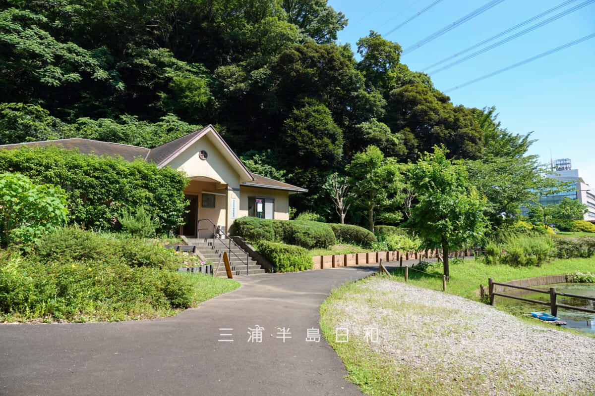 光の丘水辺公園・四季の池のほとりに建つ管理棟（撮影日：2025.06.27）