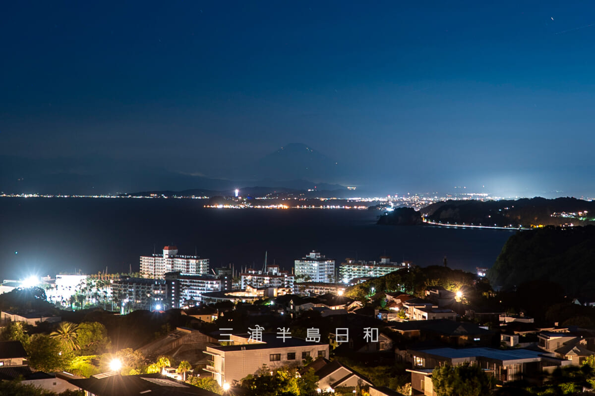 披露山公園の展望台下から見た夜景（撮影日：2025.07.25）