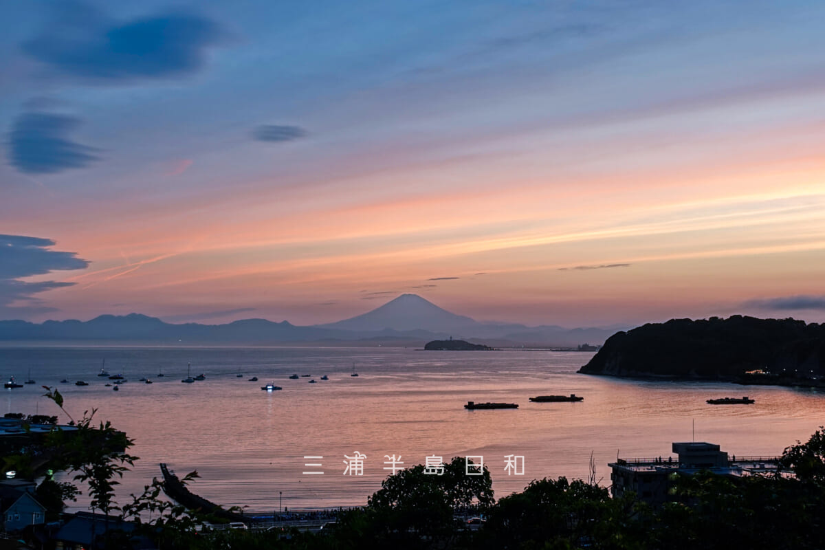 蘆花記念公園の高台より夕暮れに染まる逗子湾と富士山、江の島方面を望む（撮影日：2025.05.22）