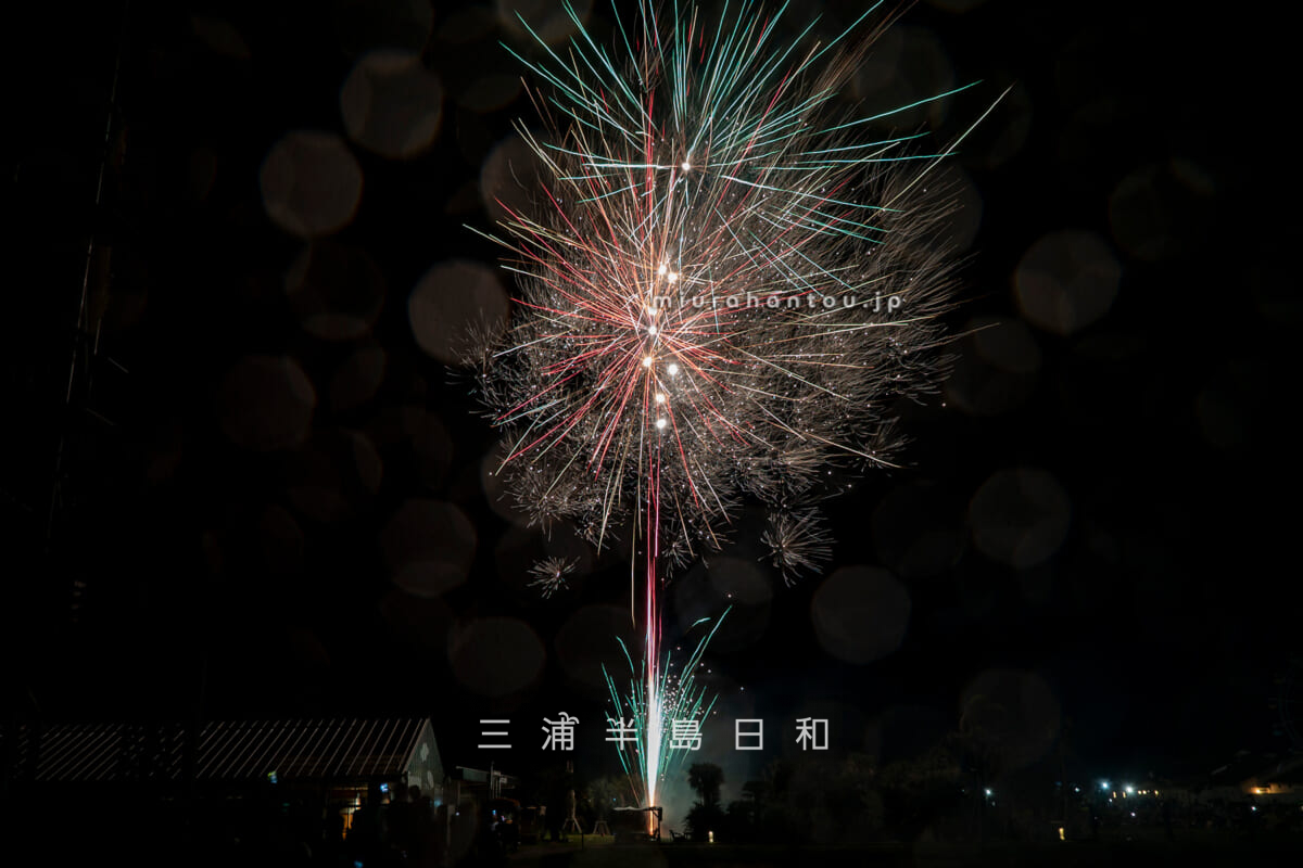 長井海の手公園 ソレイユの丘・500発の花火でブチアゲ！SUPERブチアガらナイト★-06（撮影日：2025.08.16）