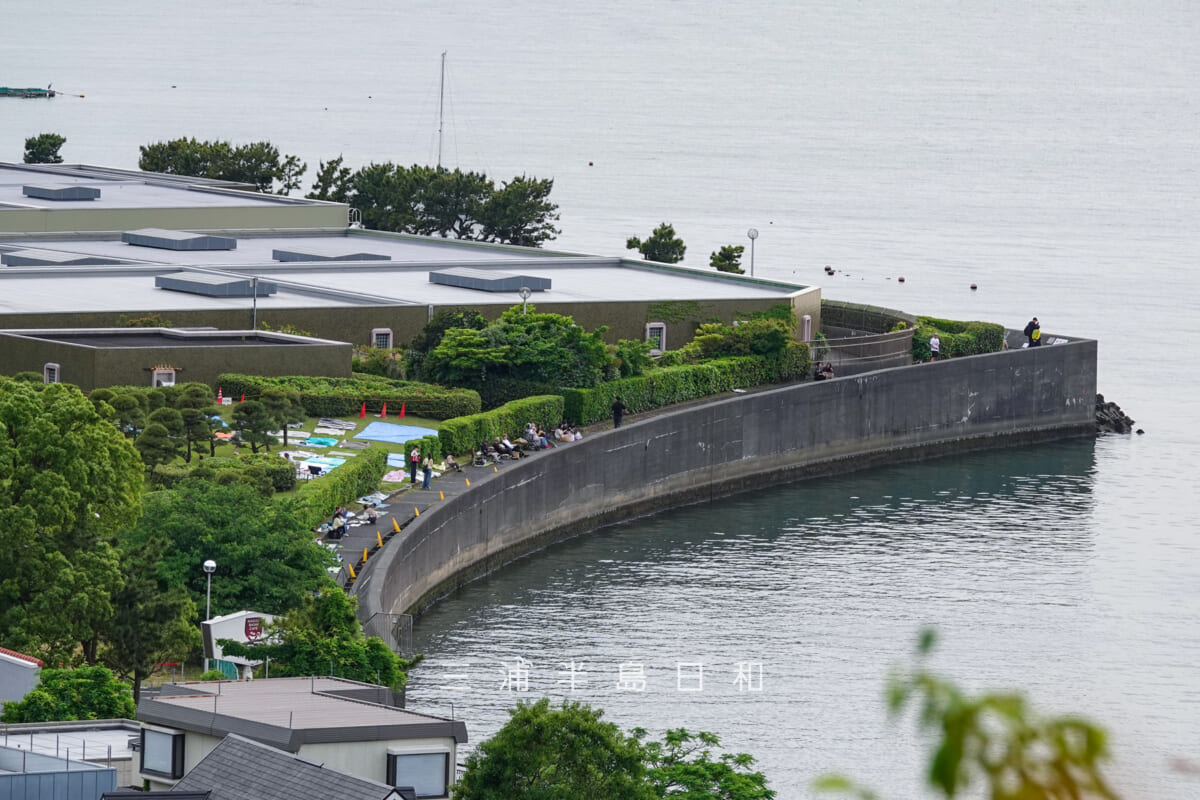 逗子市浄水管理センター裏の堤防(逗子海岸花火大会開催日)(撮影日:2025.05.22)