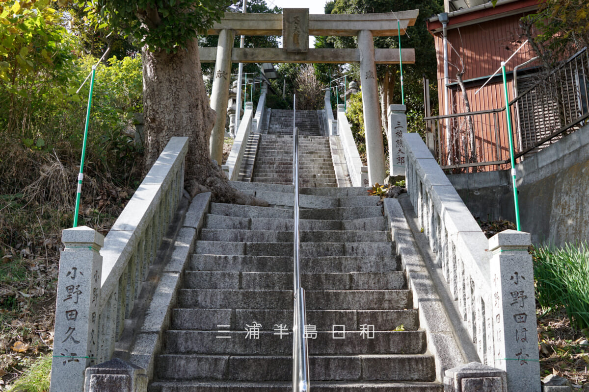 大六天神社（坂本町）・石段と鳥居（撮影日：2024.12.19）