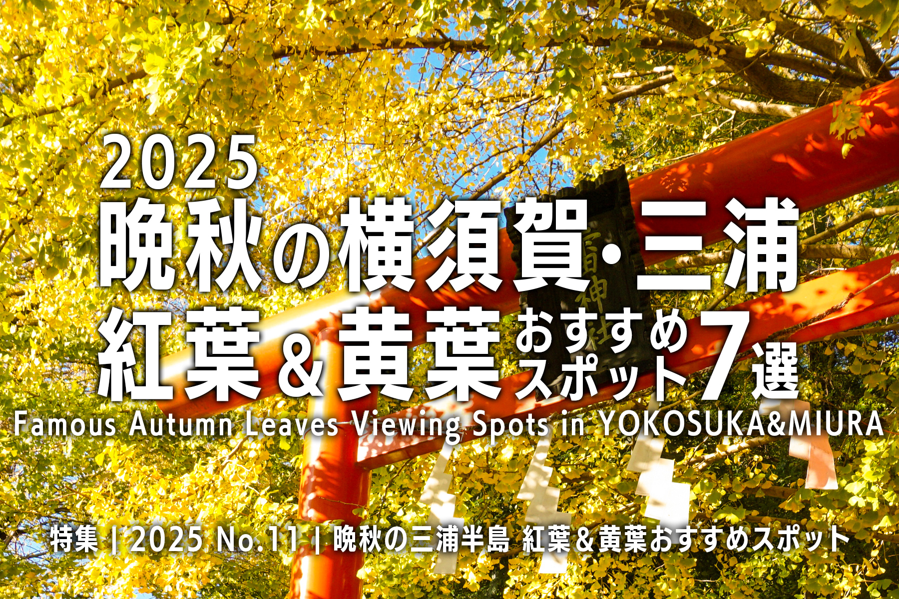 【2025 No.11】特集 | 晩秋の横須賀三浦・紅葉＆黄葉