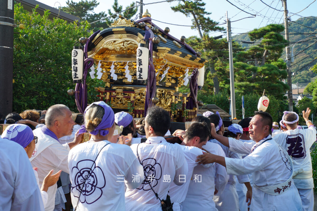 森山神社-例大祭・一色の路地を行く神輿（撮影日：2025.08.31）