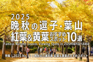 2025晩秋の逗子・葉山 紅葉＆黄葉おすすめスポット10+1選