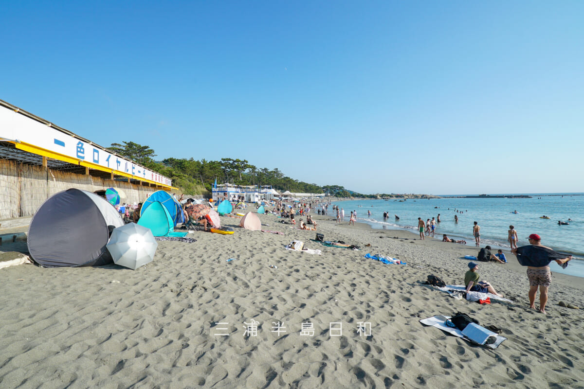 一色海岸（一色海水浴場）・海の家「一色ロイヤルビーチ」前（撮影日：2025.08.31）