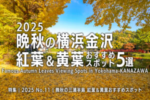 2025晩秋の横浜金沢 紅葉＆黄葉おすすめスポット5選