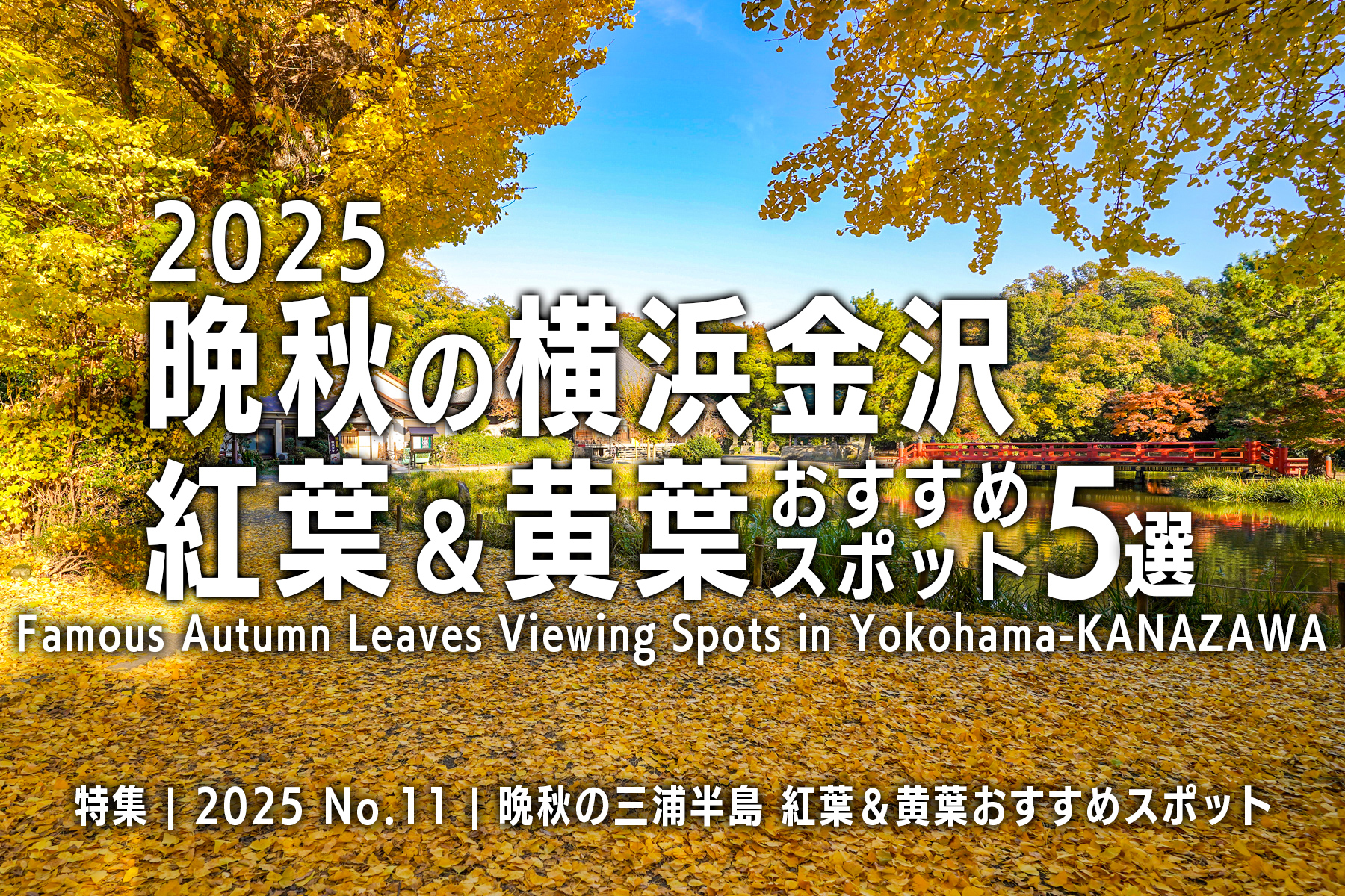 【2025 No.11】特集 | 晩秋の横浜金沢・紅葉&黄葉