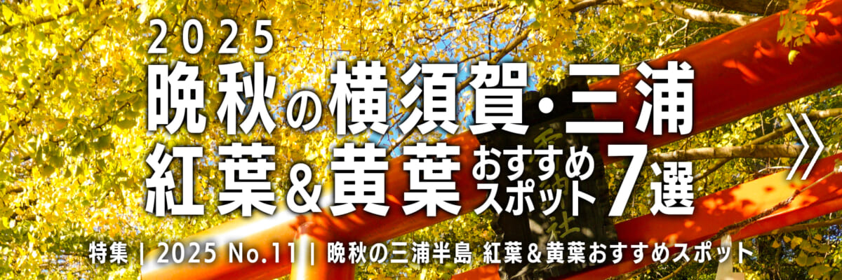 【2025 No.11】特集 | 晩秋の横須賀三浦・紅葉＆黄葉