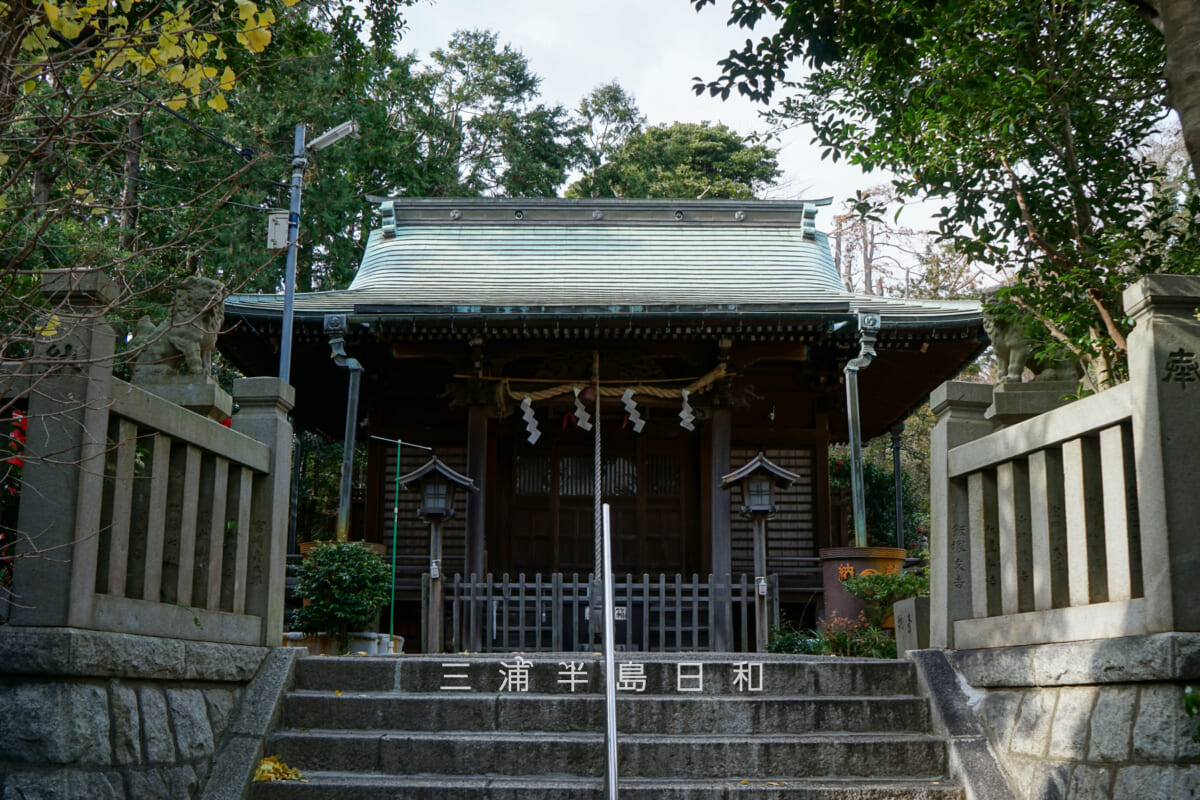 大六天神社（坂本町）・社殿（撮影日：2024.12.19）