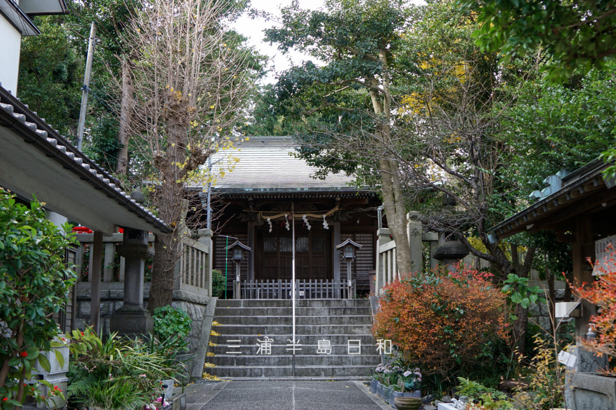 大六天神社（坂本町）・社殿前の境内（撮影日：2024.12.19）