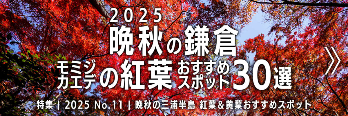 【2025 No.11】特集 | 晩秋の鎌倉・モミジの紅葉