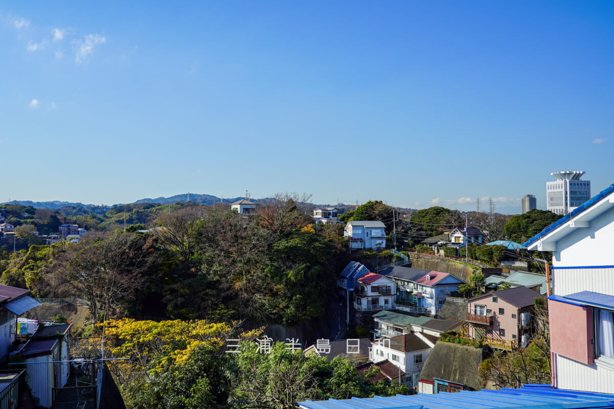 浦賀道(うらが道)・大勝利山西側の尾根道より汐入町の谷戸を望む(撮影日:2020.12.22)