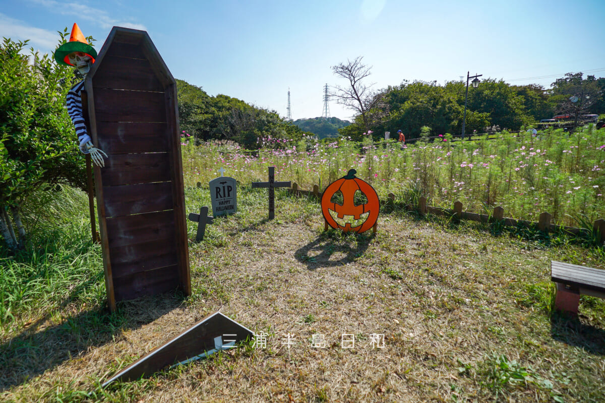 くりはま花の国-ハーブ園・ハロウィンのオブジェ(撮影日:2025.10.30)
