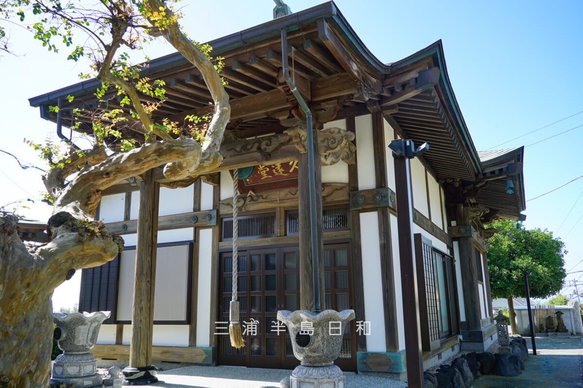 実教寺・久遠堂（撮影日：2021.10.11）