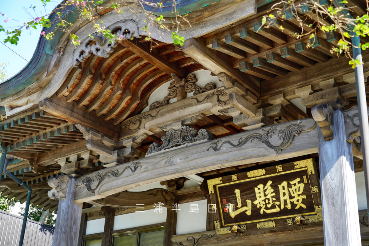 実教寺・本堂の「腰懸山」の扁額（撮影日：2021.10.11）