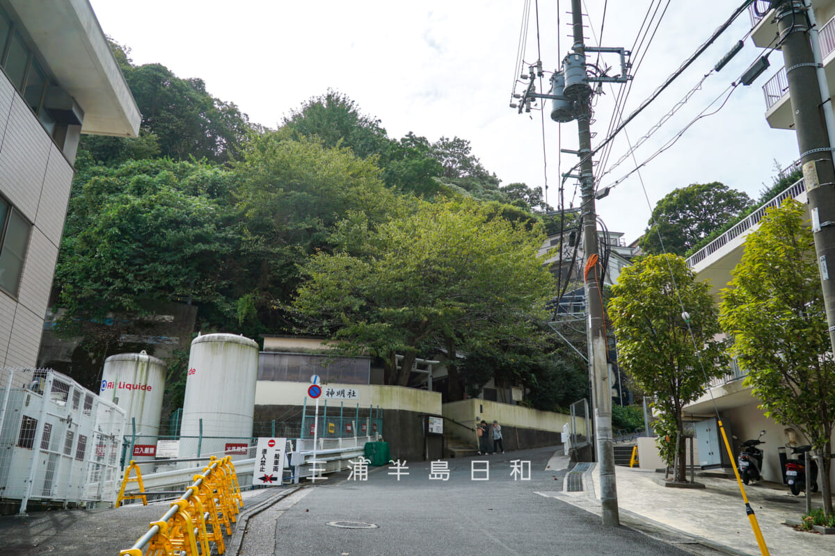 米が浜神明社・横須賀共済病院裏手からの境内遠望(撮影日:2025.10.09)