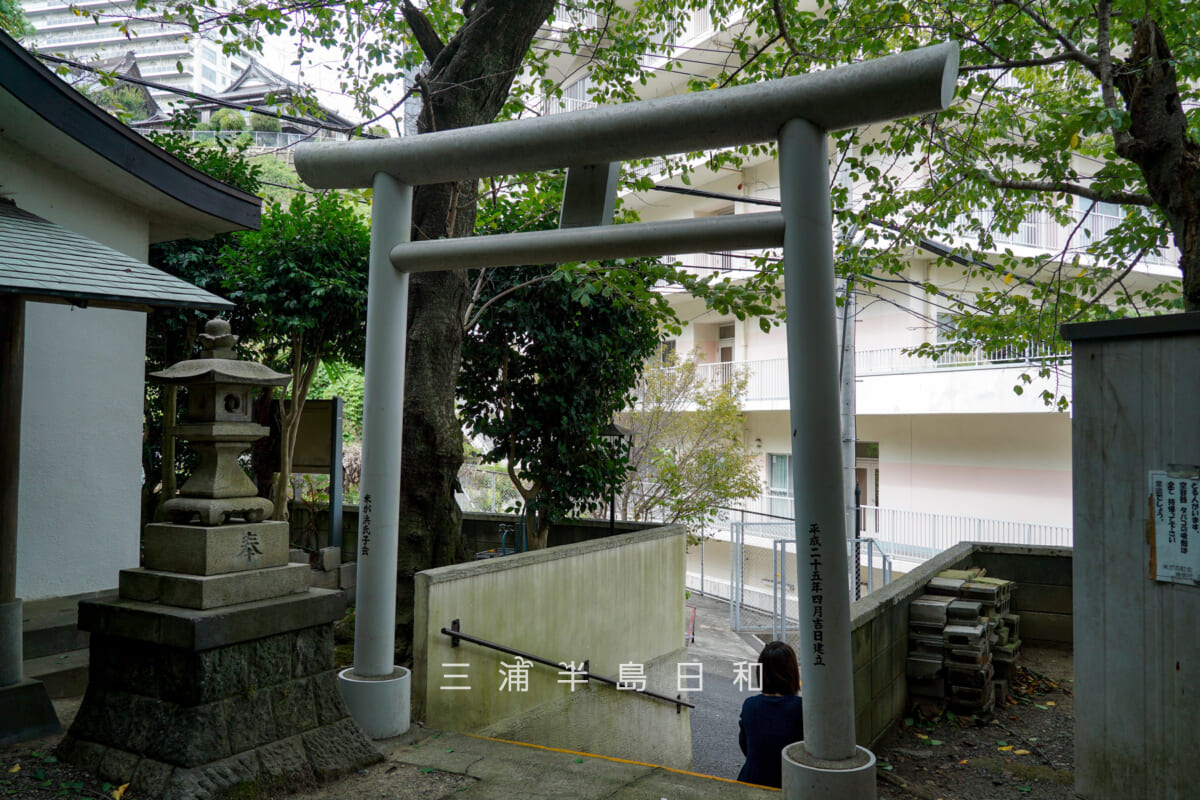 米が浜神明社・鳥居裏より龍本寺方面を望む(撮影日:2025.10.09)