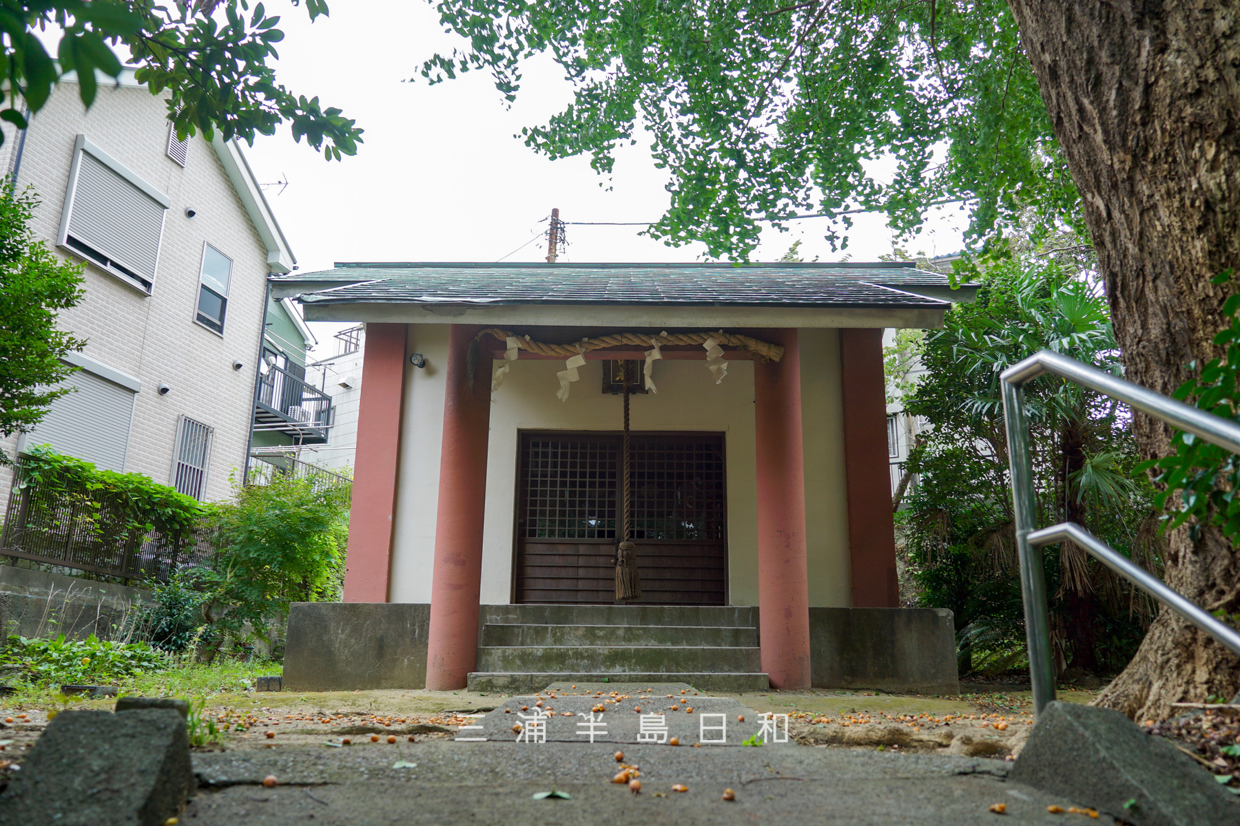 深田神明社・社殿（撮影日：2025.10.09）