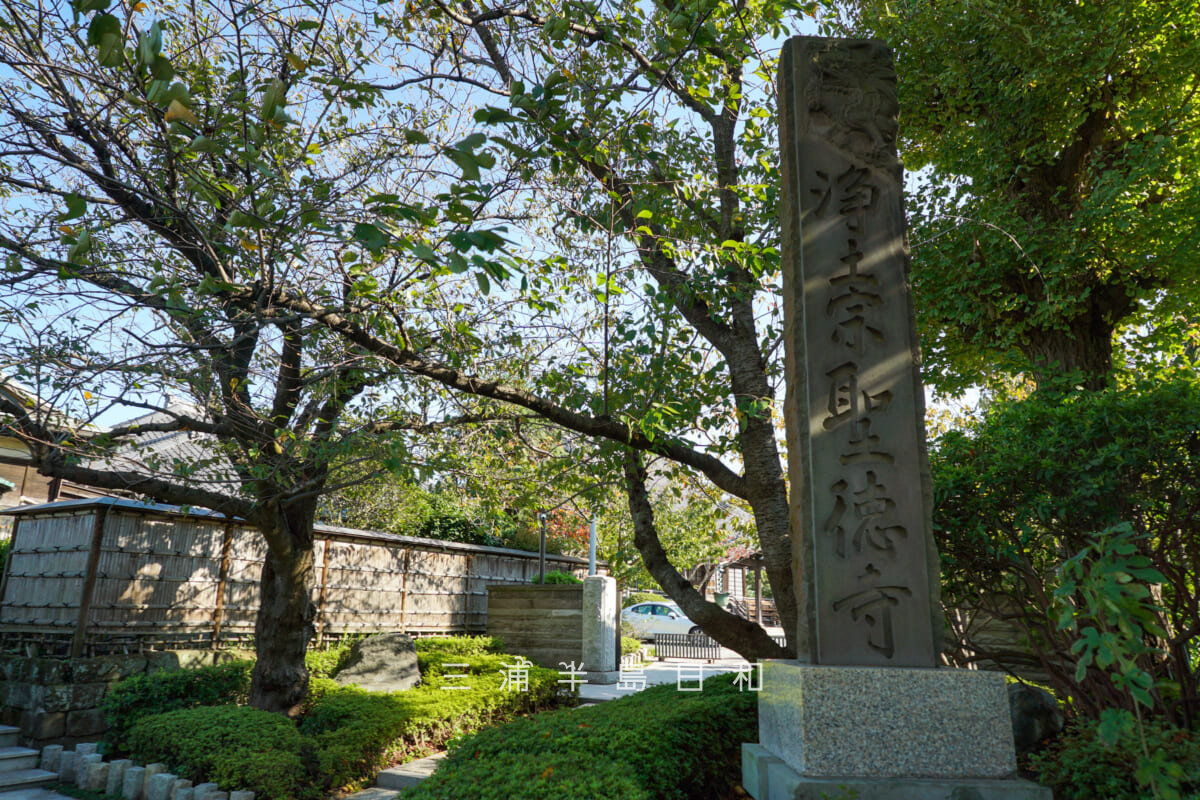 聖徳寺・寺号標（撮影日：2025.10.30）