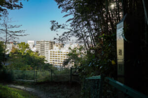 大勝利山（小屋の台）