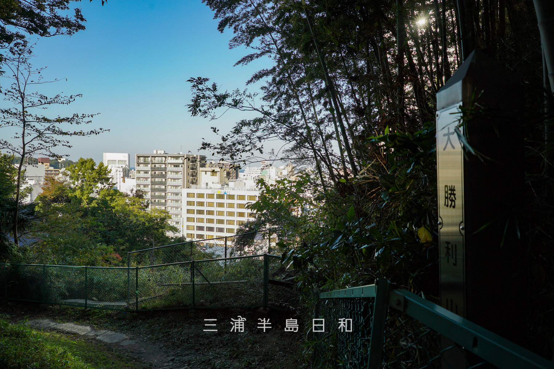 大勝利山（撮影日：2025.10.30）