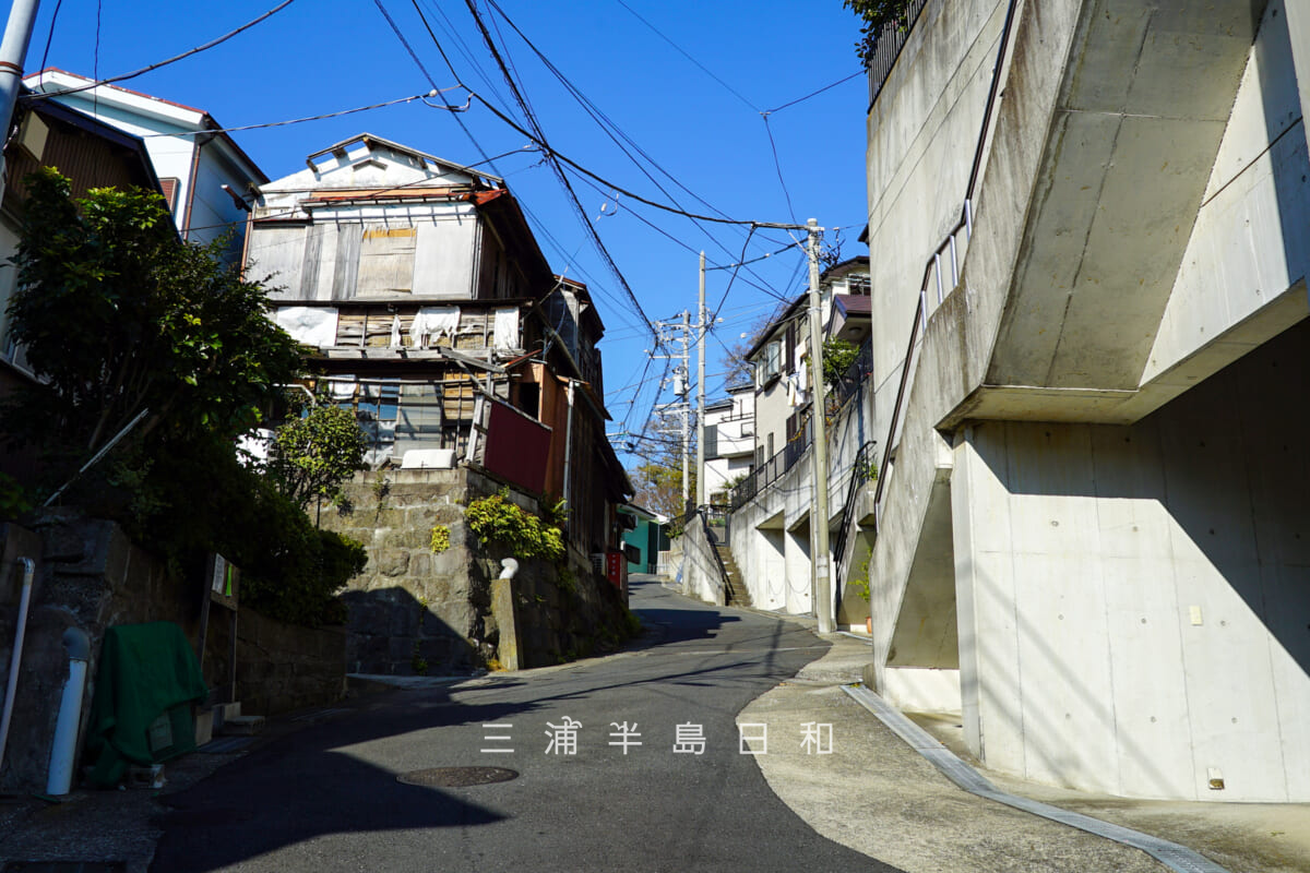 うぐいす坂・坂下より見上げる(撮影日:2020.12.22)