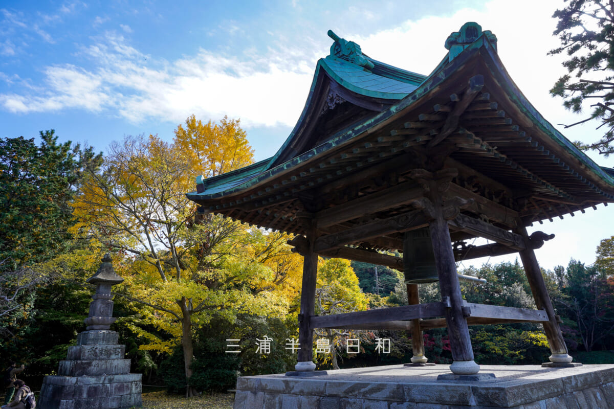 称名寺・晩秋の鐘楼(撮影日:2025.11.19)