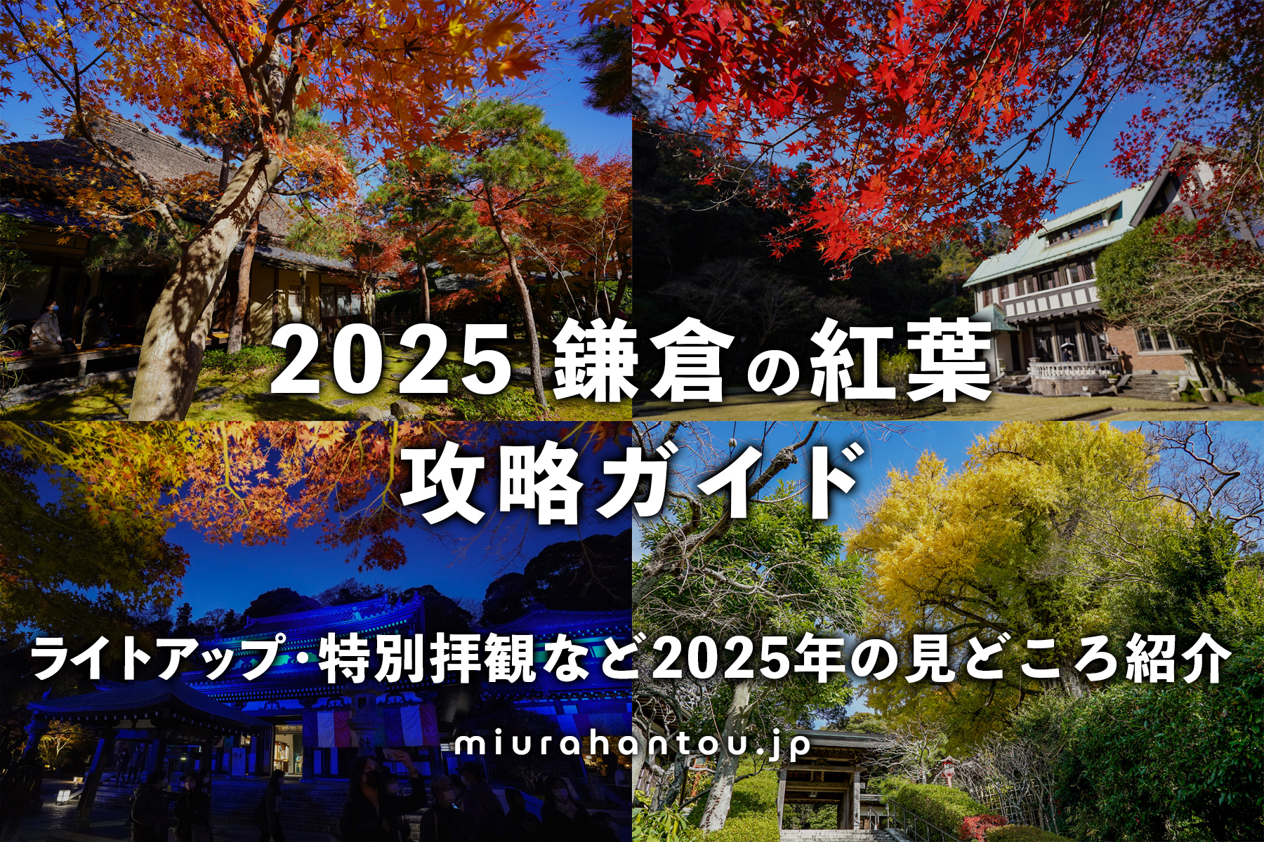 2025鎌倉紅葉攻略ガイド