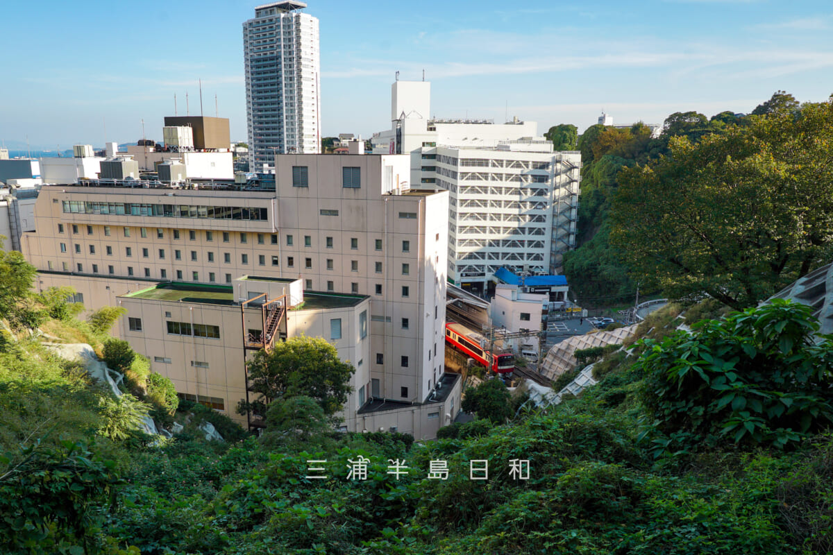 大勝利山より横須賀中央駅を見下ろす（撮影日：2025.10.30）