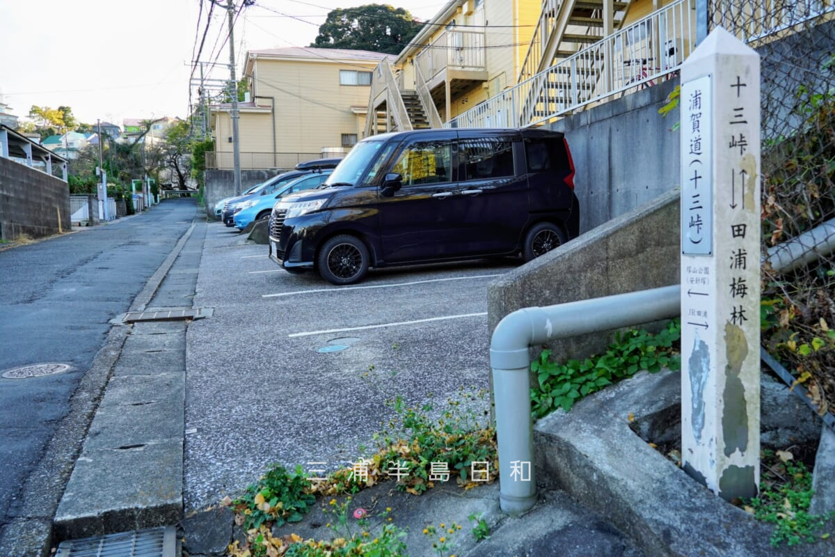 十三峠・大田坂（太田坂）上より塚山公園方面に続く尾根道を望む（撮影日：2020.12.04）