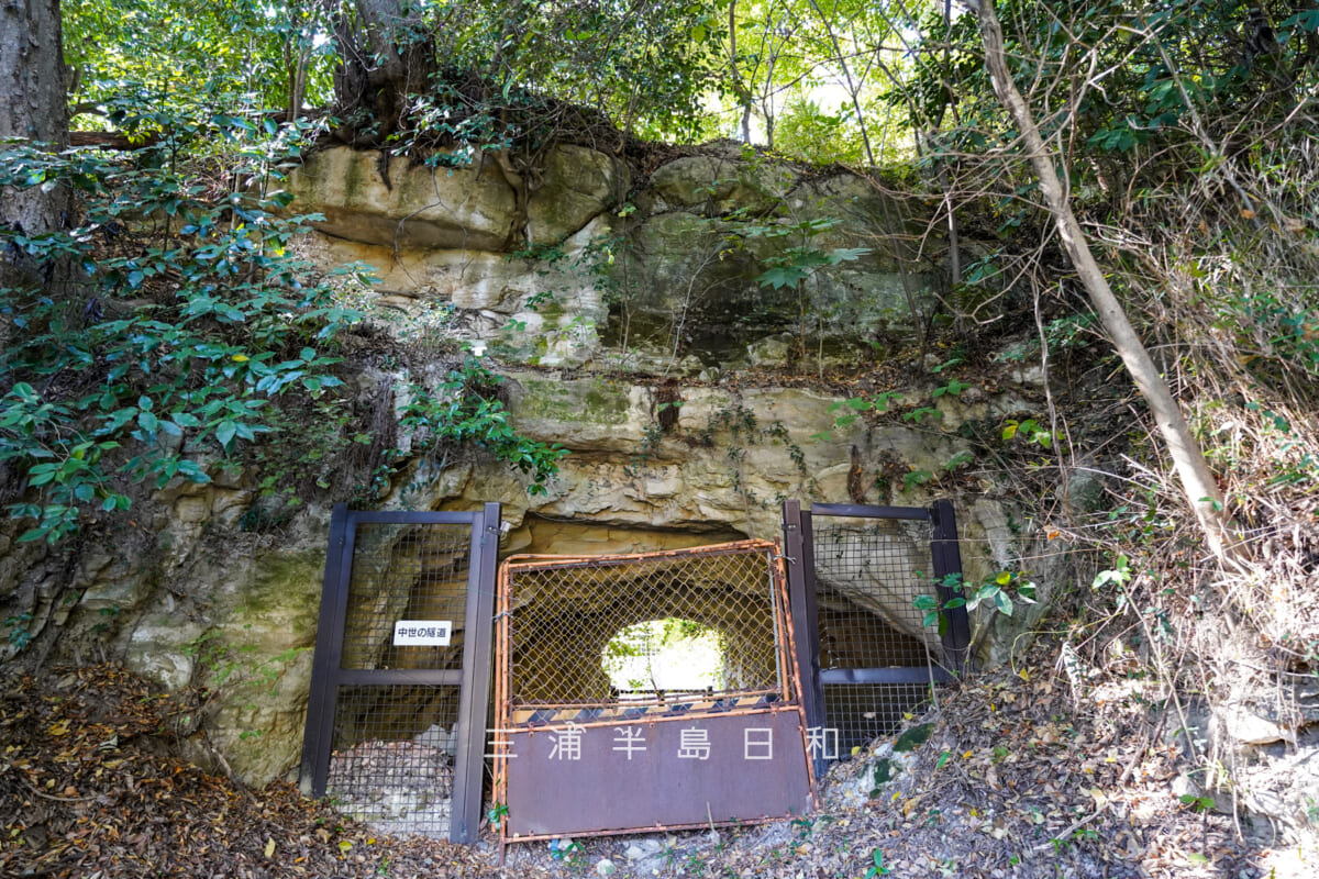 金沢文庫・称名寺に続く中世のトンネル（撮影日：2025.11.19）