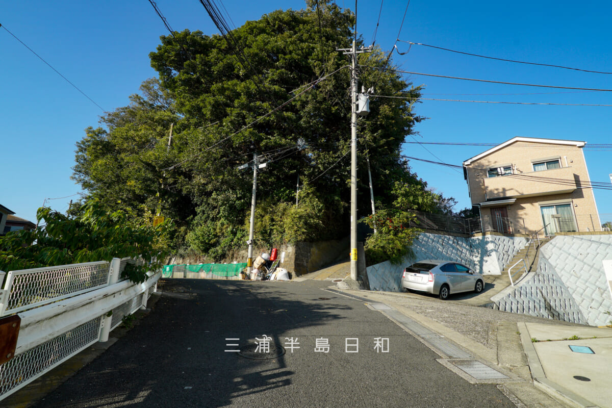 浦賀道（うらが道）・うぐいす坂上の大勝利山西側ルート（左）と東側ルート（右）の分岐地点（撮影日：2025.10.30）