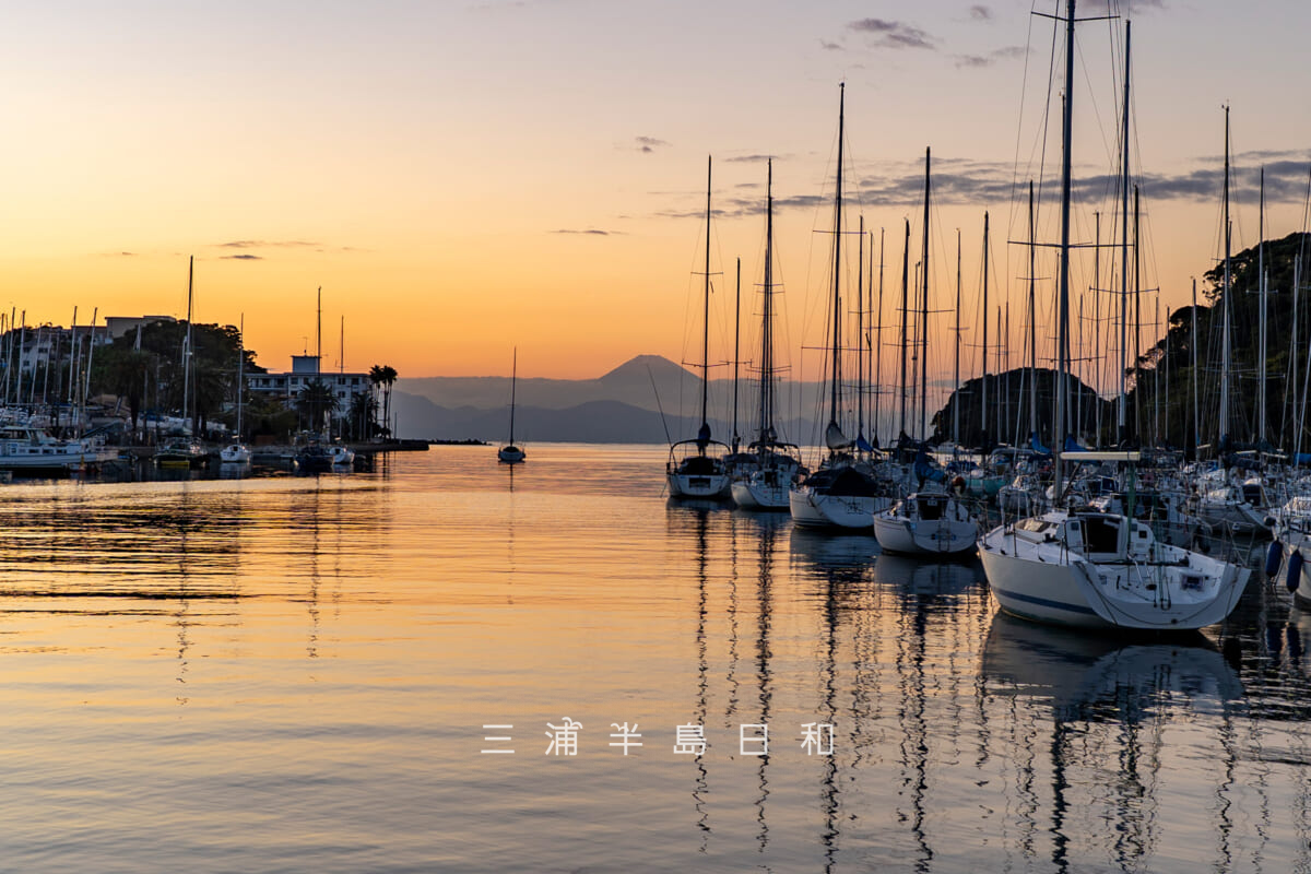 諸磯湾の夕暮れ（撮影日：2025.11.19）