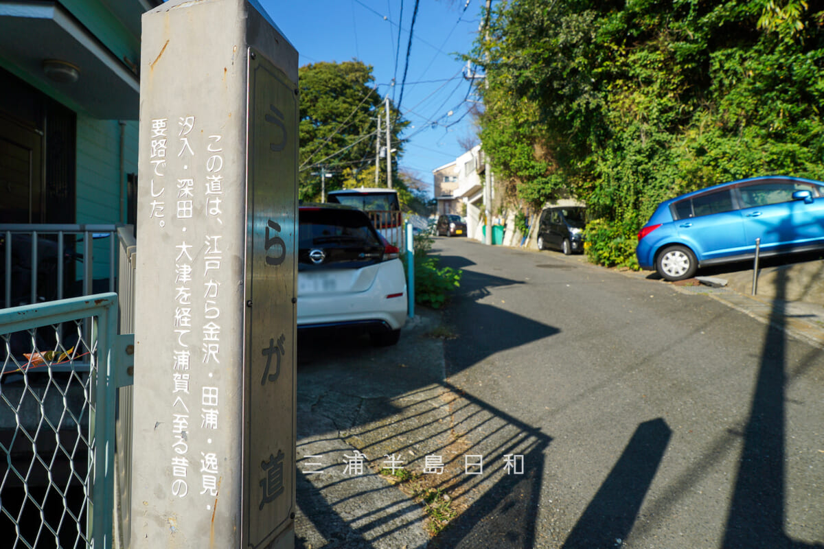 うぐいす坂・「うらが道(浦賀道)」の案内板(撮影日:2025.10.30)