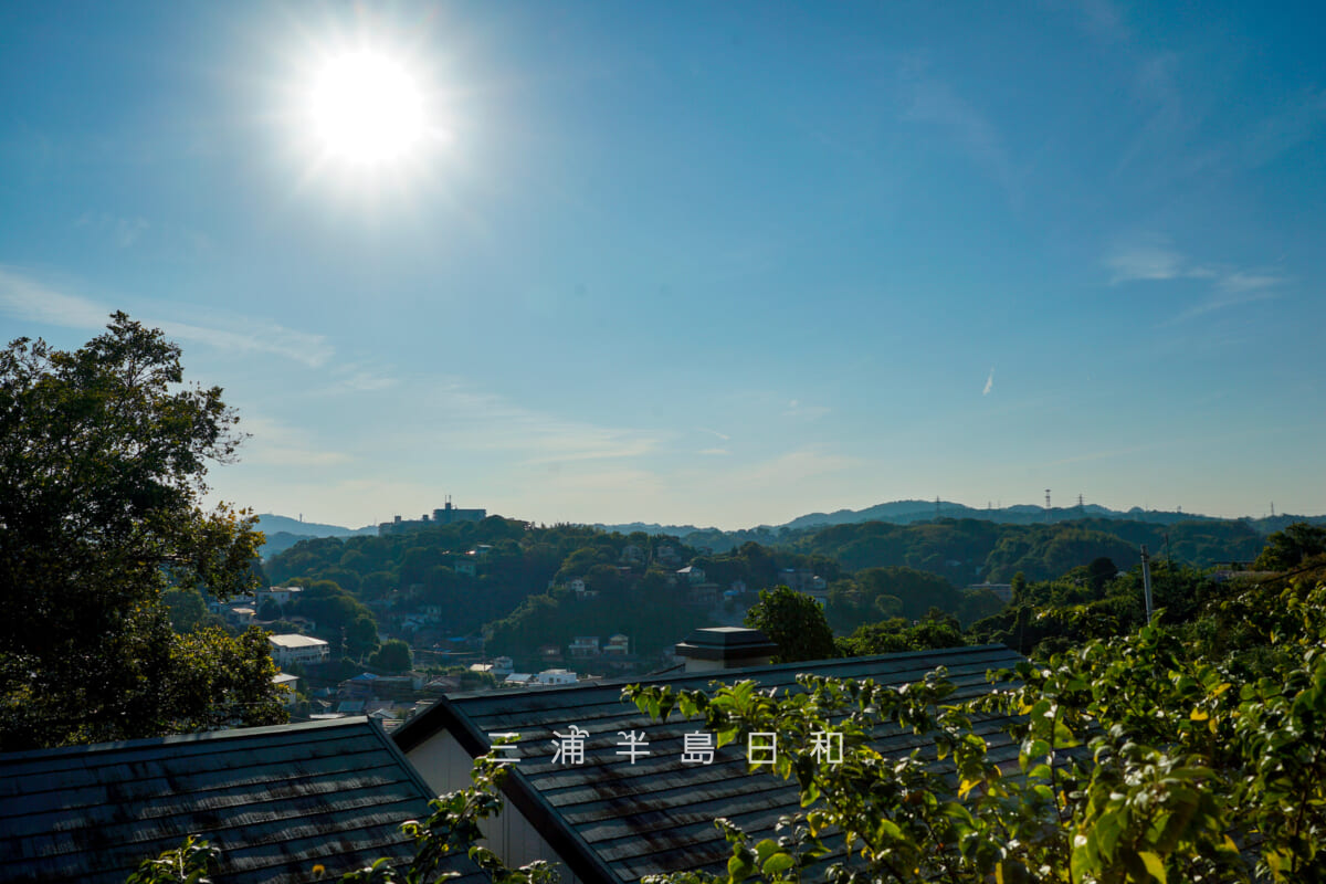 浦賀道（うらが道）・大勝利山西側の尾根道より汐入町方面の谷戸を望む（撮影日：2025.10.30）