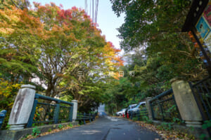 通玄橋より瑞泉寺方面を望む（撮影日：2025.11.28）