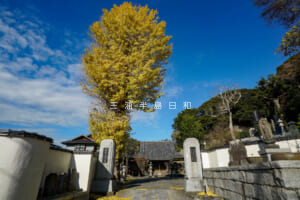 浄林寺・馬頭観音堂