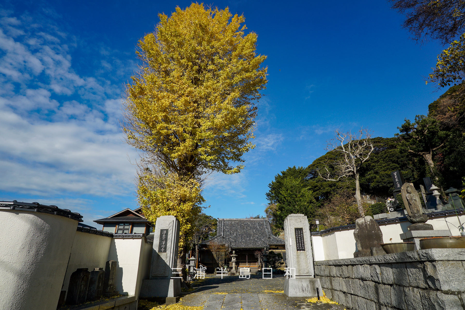 浄林寺（撮影日：2025.12.18）