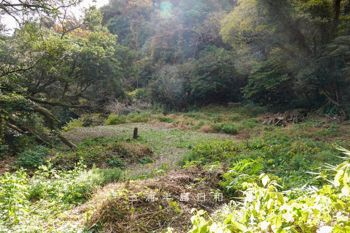 円通寺跡・深谷やぐら群（海上自衛隊大矢部弾庫跡）・東側（正面右側）のやぐら群前の平場より寺院跡推定地を見下ろす（撮影日：2025.12.12）